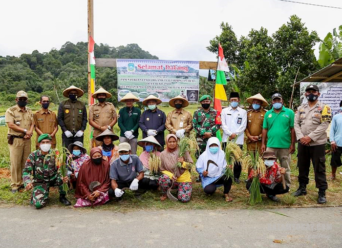 Pjs Bupati didampingi Aparatur Desa, Aparatur Kecamatan, TNI-Polri dan Perwakilan OPD foto bersama dengan petani Desa Bukit Padi